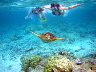 Dominican Republic Scuba Diving Immersion Course